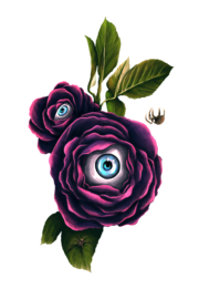 Eye Of The Beholder