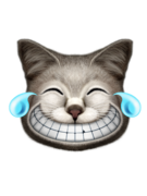 EMOTIONS CAT LAUGHING