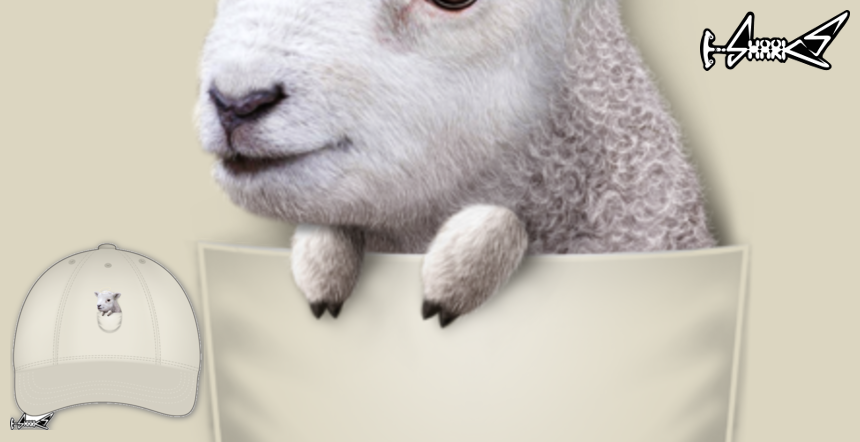 POCKET LAMB Hats - Designed by: ADAM LAWLESS