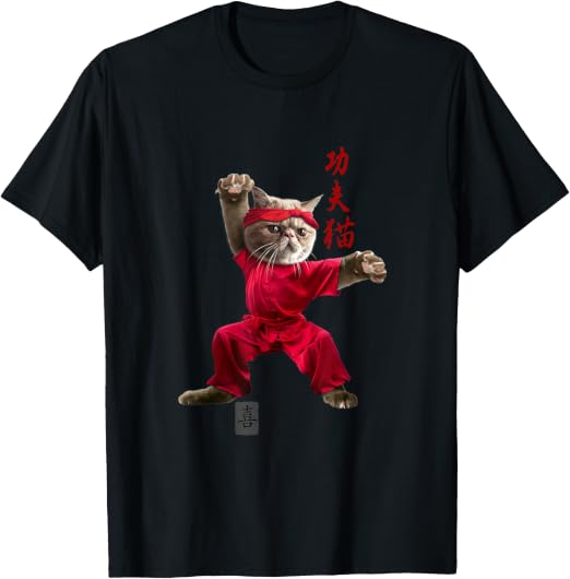 CHAT KUNG-FU