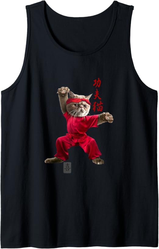KUNG-FU GATTO