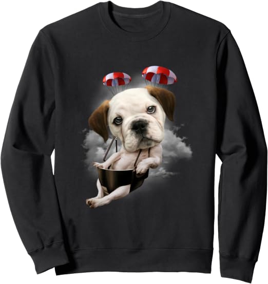 Cucciolo di cane paracadutismo